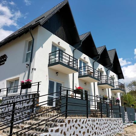 Conacul Doamnei Nucsoara Hotel Exterior photo