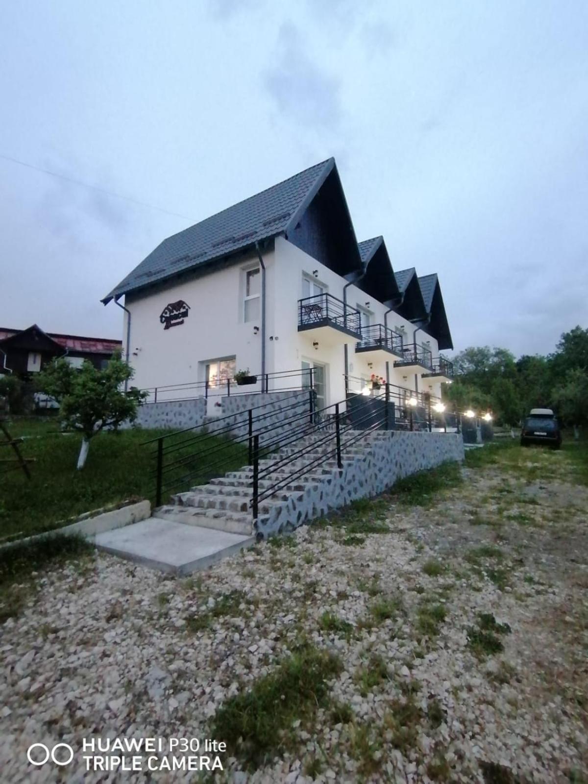 Conacul Doamnei Nucsoara Hotel Exterior photo